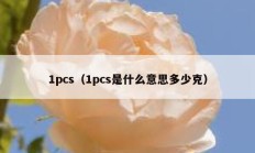 1pcs（1pcs是什么意思多少克）