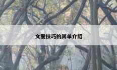 文爱技巧的简单介绍