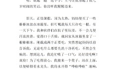 我的生活少不了它作文(我的生活少不了它作文600字手机)