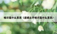 相识是什么意思（遗憾止于相识是什么意思）