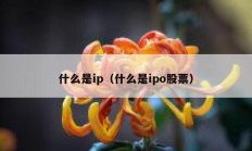 什么是ip（什么是ipo股票）