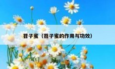 苕子蜜（苕子蜜的作用与功效）