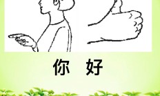 手语自学可以用什么软件