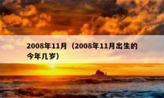 2008年11月（2008年11月出生的今年几岁）