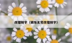 改错别字（骑乐无穷改错别字）