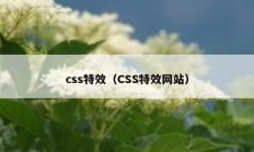 css特效（CSS特效网站）