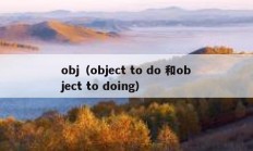 obj（object to do 和object to doing）