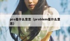 pro是什么意思（problem是什么意思）