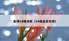 足球14场分析（14场足彩分析）