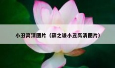 小丑高清图片（薛之谦小丑高清图片）